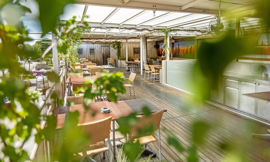 US-MEX Weinfelden Terrasse Pflanzen